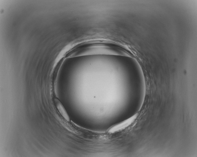 X0000074290056200609011417