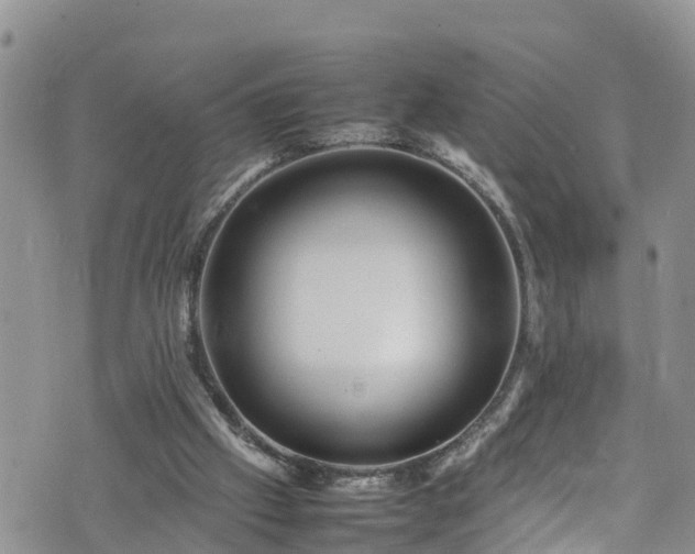 X0000074290057200609011417