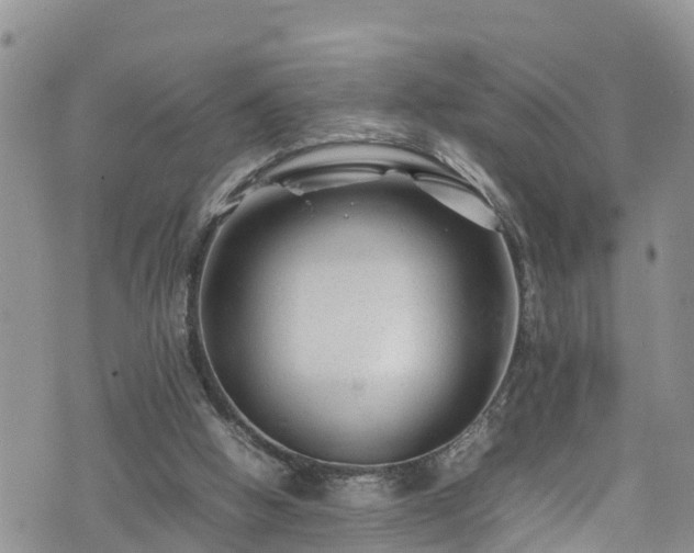 X0000074290058200609011417