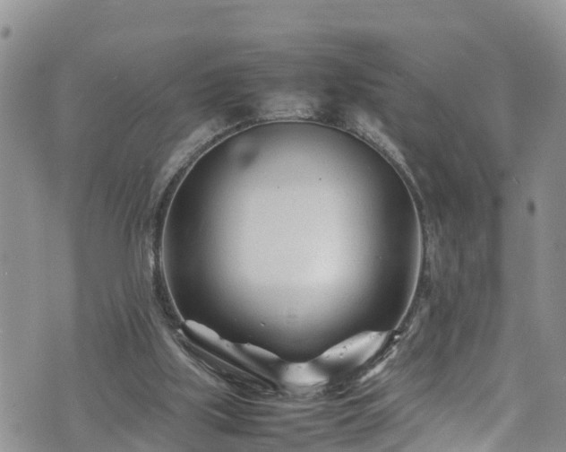 X0000074290059200609011417