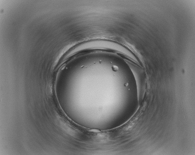 X0000074290060200609011417