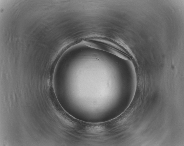 X0000074290063200609011417