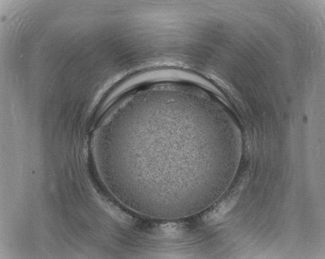 X0000074290064200609011417