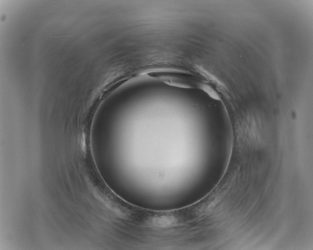 X0000074290067200609011417