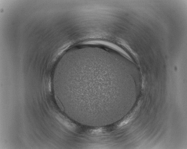 X0000074290068200609011417