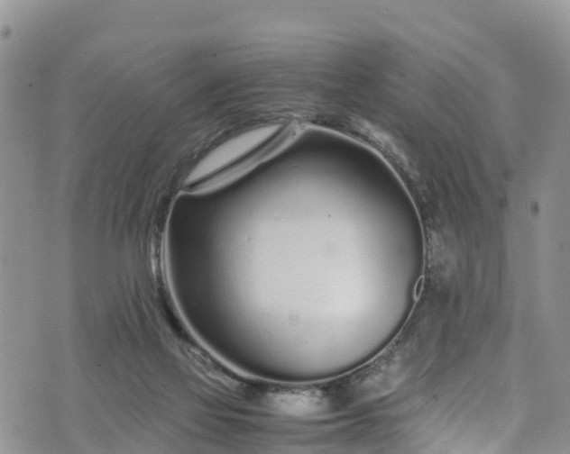 X0000074290069200609011417