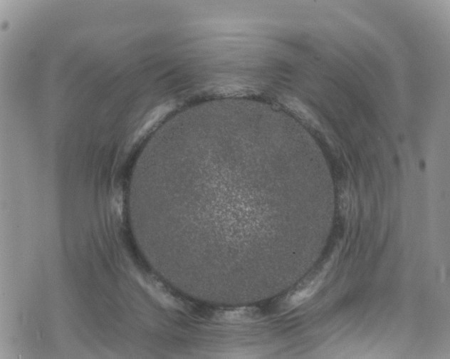 X0000074290072200609011417