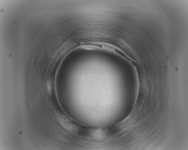 X0000074290074200609011417