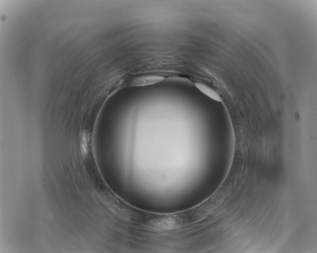 X0000074290075200609011417