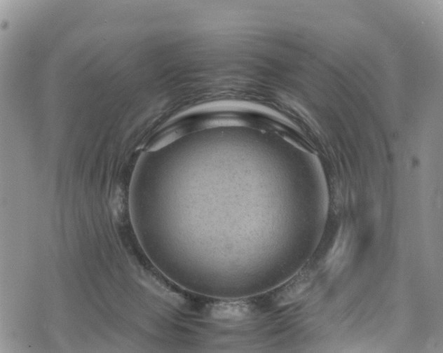 X0000074290077200609011418