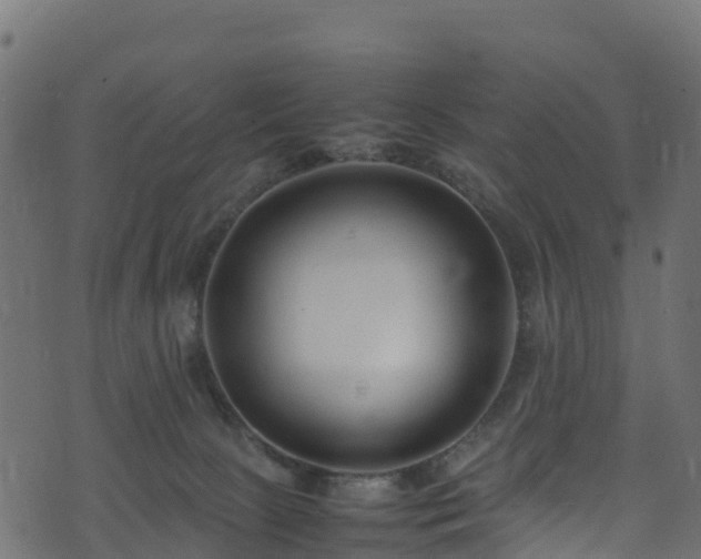 X0000074290081200609011418