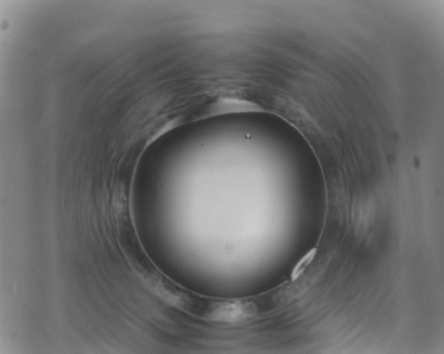 X0000074290083200609011418