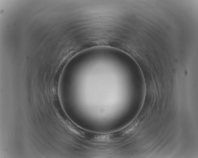 X0000074290084200609011418