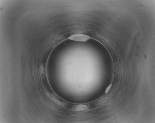 X0000074290087200609011418