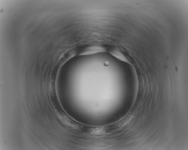 X0000074290088200609011418