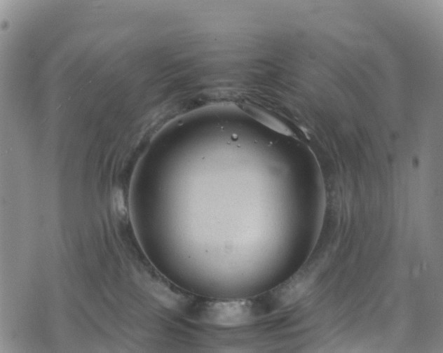 X0000074290089200609011418