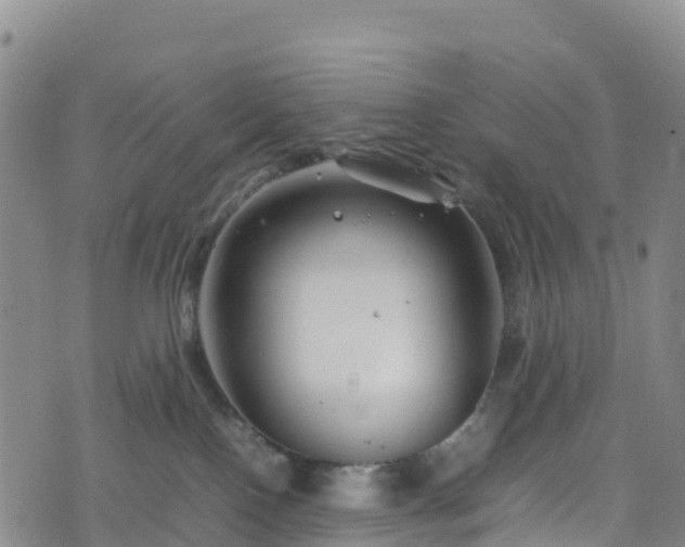 X0000074290090200609011418