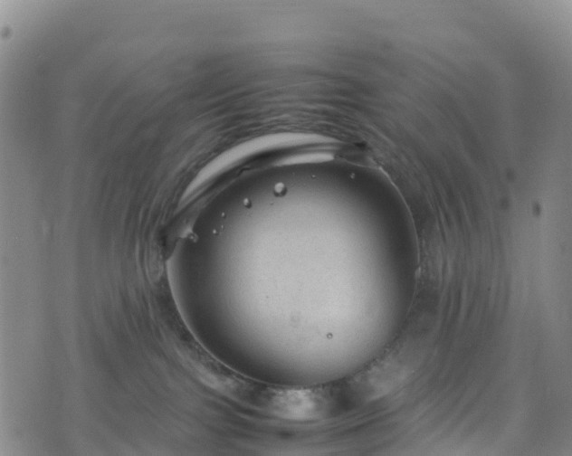 X0000074290091200609011418