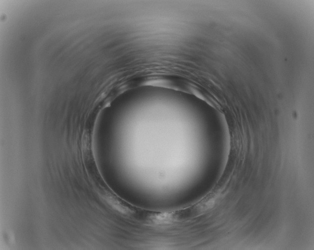 X0000074290092200609011418