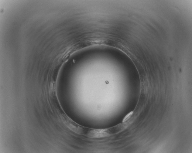 X0000074290093200609011418