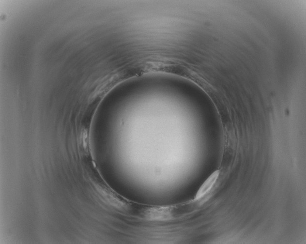 X0000074290094200609011418