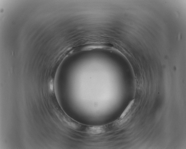 X0000074290095200609011418