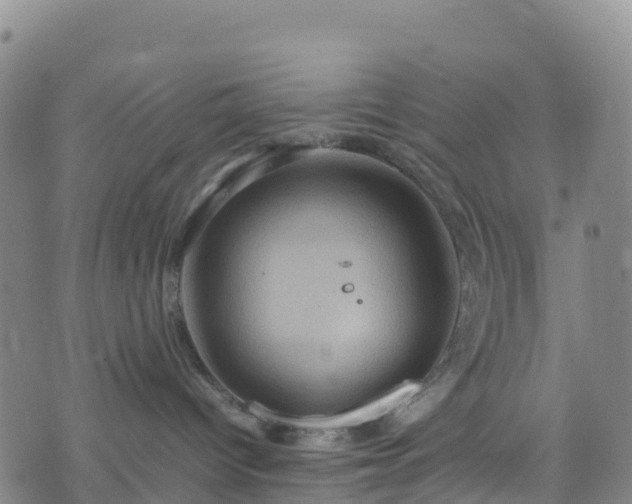 X0000074290096200609011418