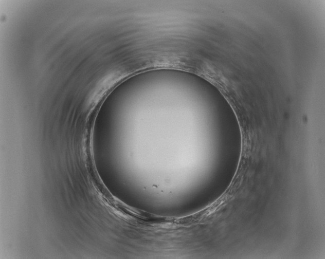 X0000074290098200609011417