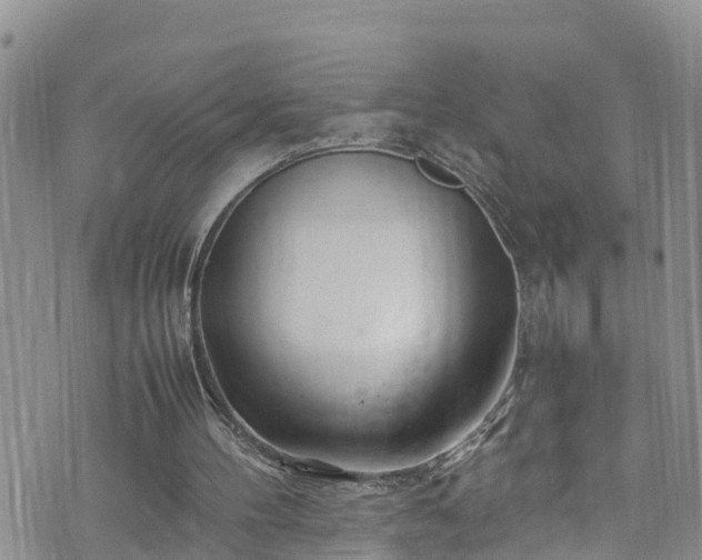 X0000074290100200609011417