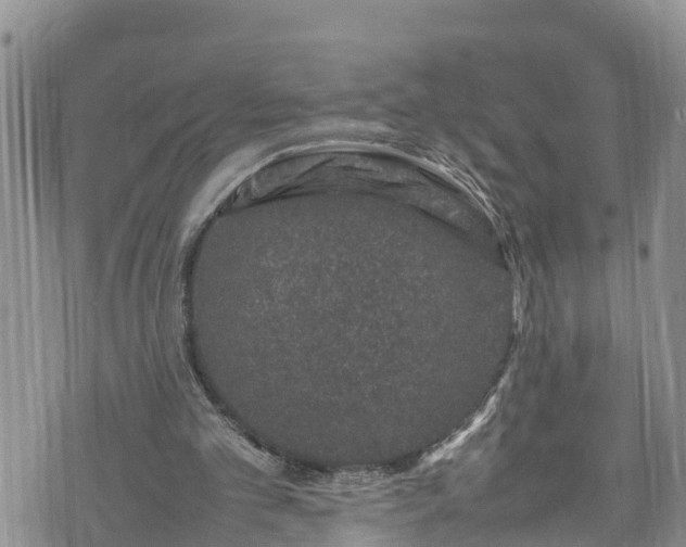 X0000074290101200609011417