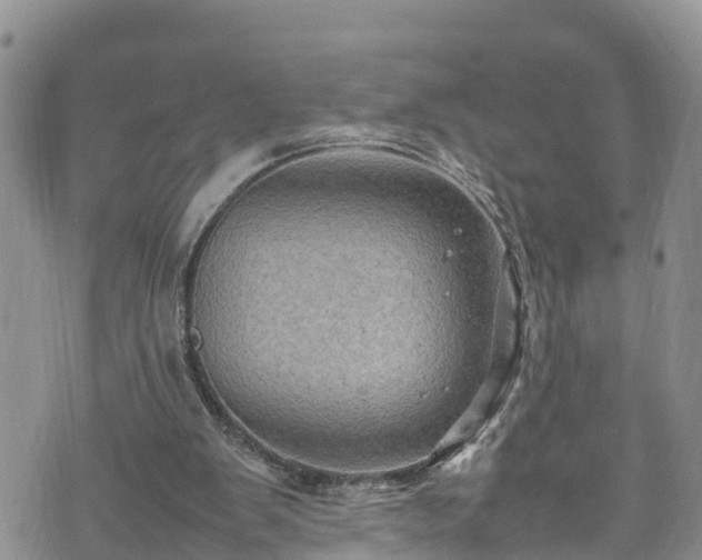 X0000074290103200609011417