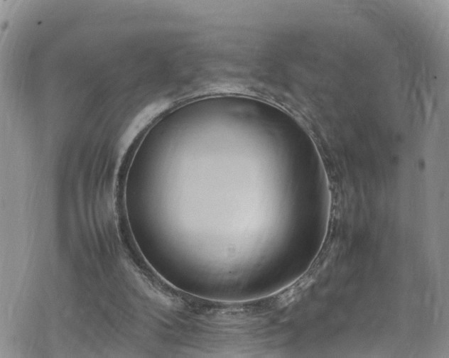 X0000074290104200609011417