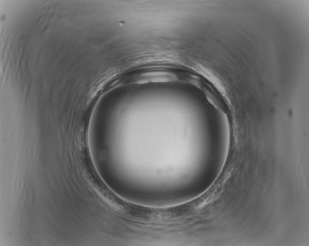 X0000074290105200609011417