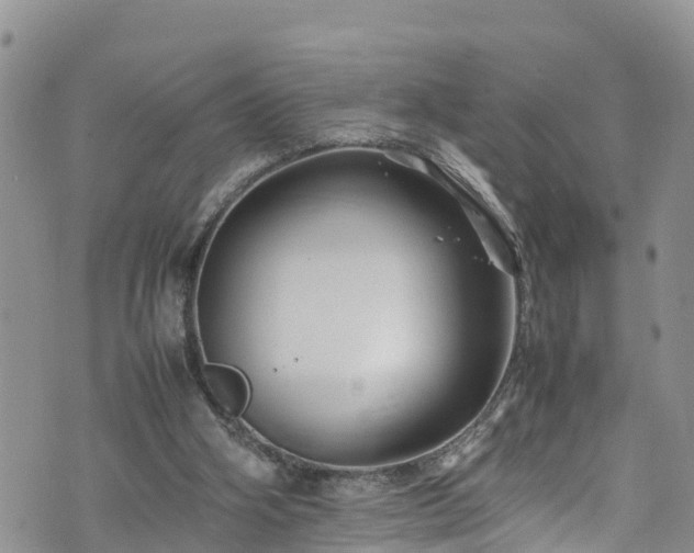 X0000074290106200609011417