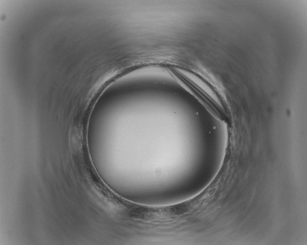 X0000074290107200609011417