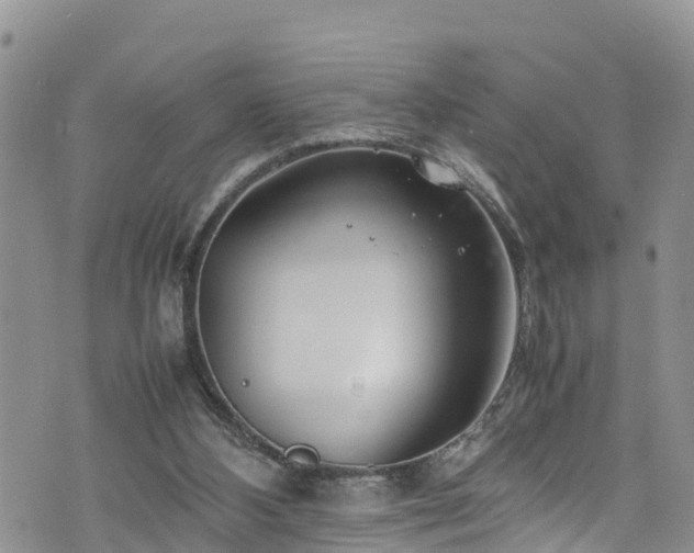 X0000074290108200609011417