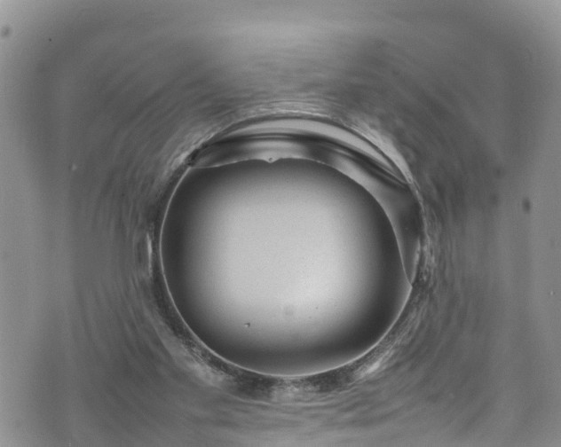 X0000074290109200609011417