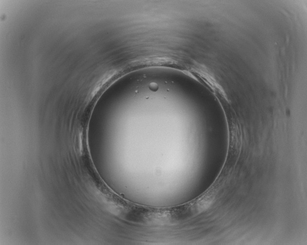 X0000074290110200609011417