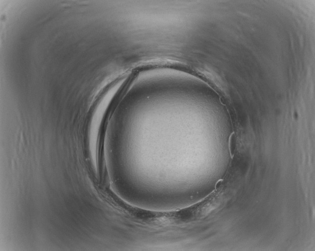 X0000074290111200609011417