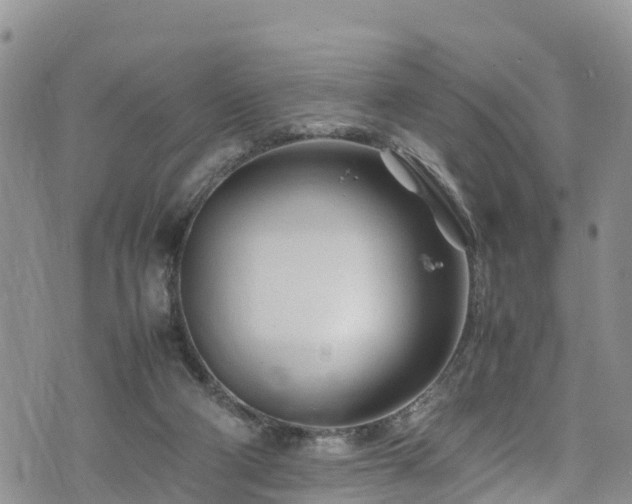 X0000074290114200609011417