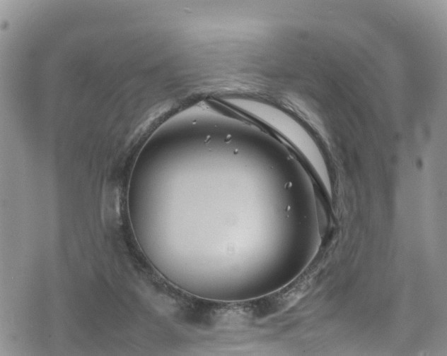 X0000074290115200609011417