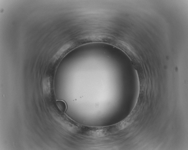 X0000074290120200609011417