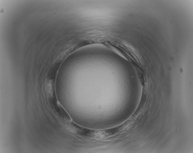 X0000074290121200609011417