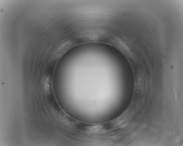 X0000074290122200609011417