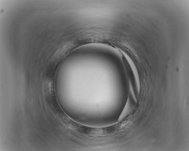 X0000074290123200609011417