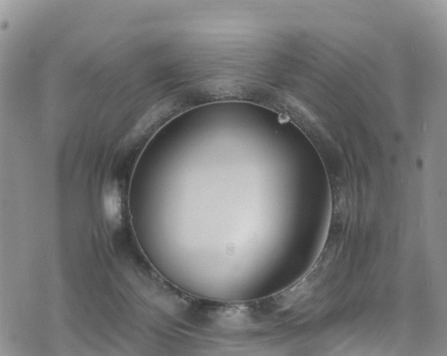 X0000074290124200609011417