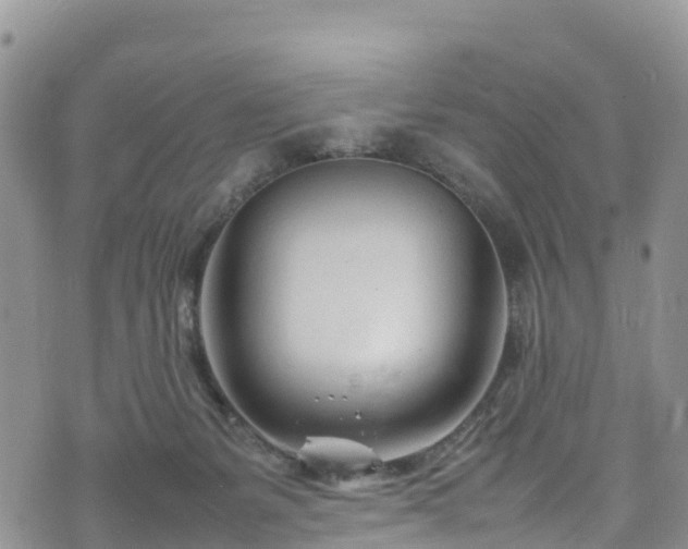 X0000074290127200609011417