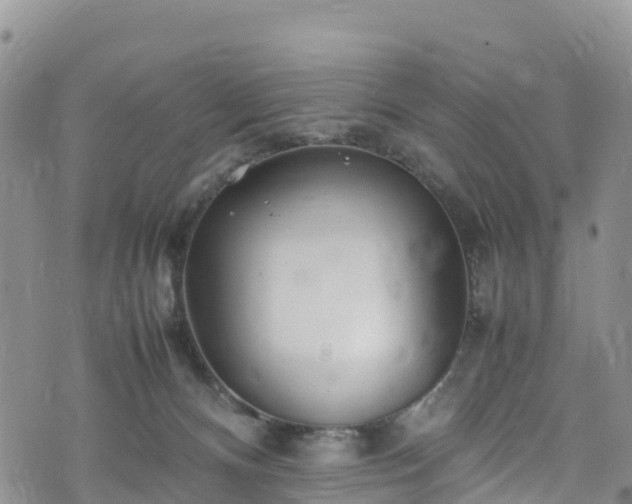 X0000074290128200609011417