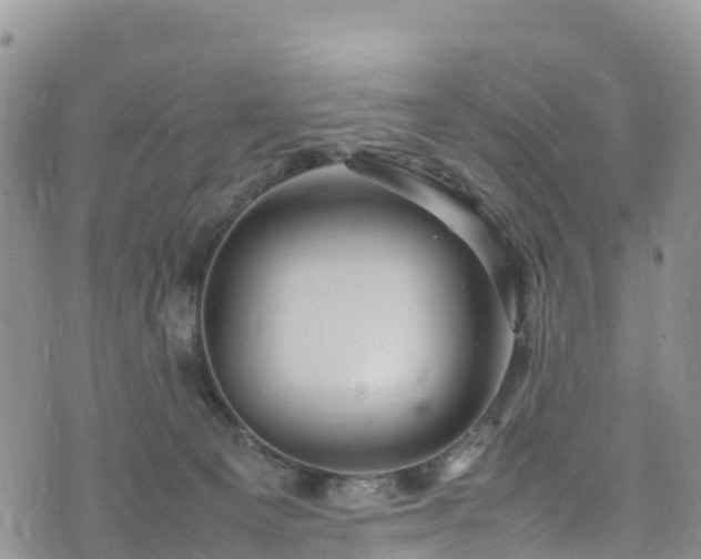 X0000074290129200609011417