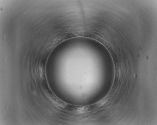 X0000074290130200609011416